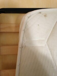 Trace de punaises de lit dans les coutures d'un matelas
