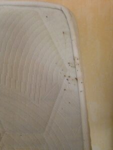 Trace de punaise de lit matelas