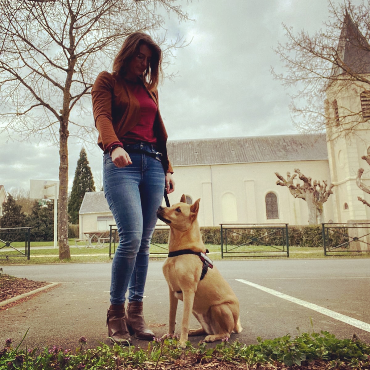 Punaise de lit à Argenteuil,