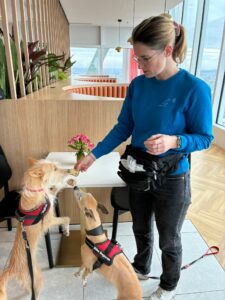 Punaises de lit en copropriété